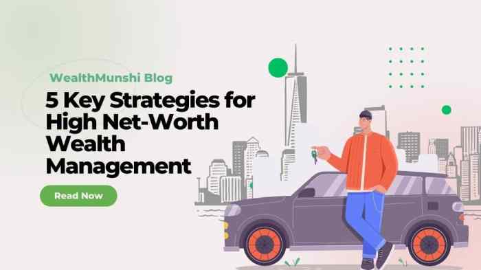 Top 5 Wealth Strategies for HNIs in 2023-2024